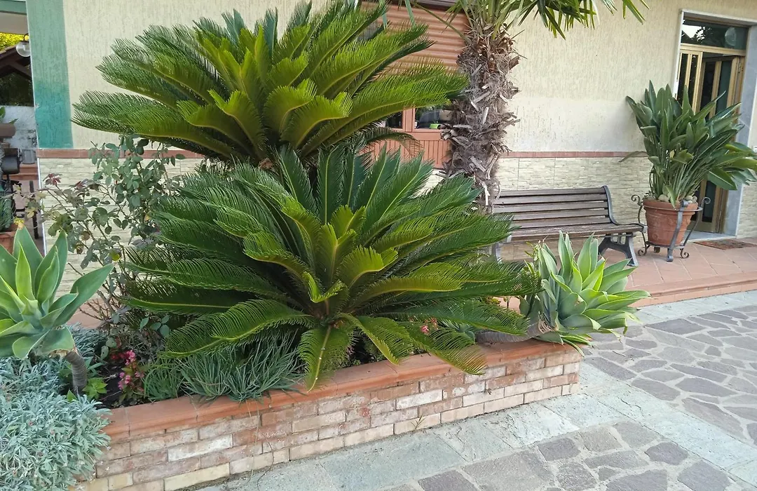 B&B La Porta Del Cilento-1
